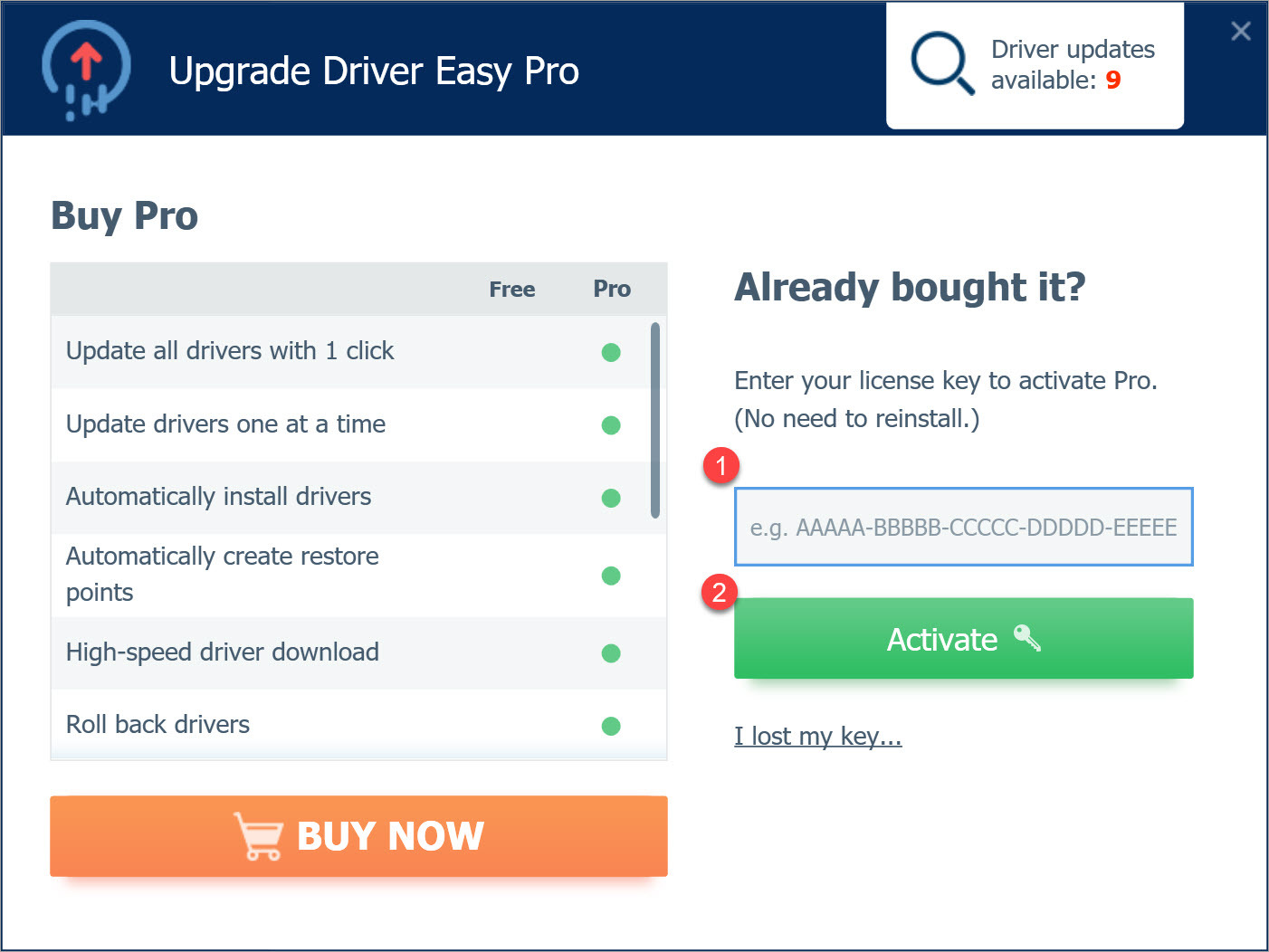 Upgrade to Driver Easy Pro enter license